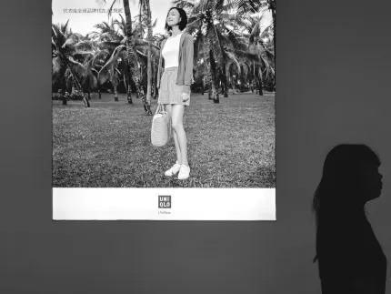 Barbados Casino Farsímaforrit